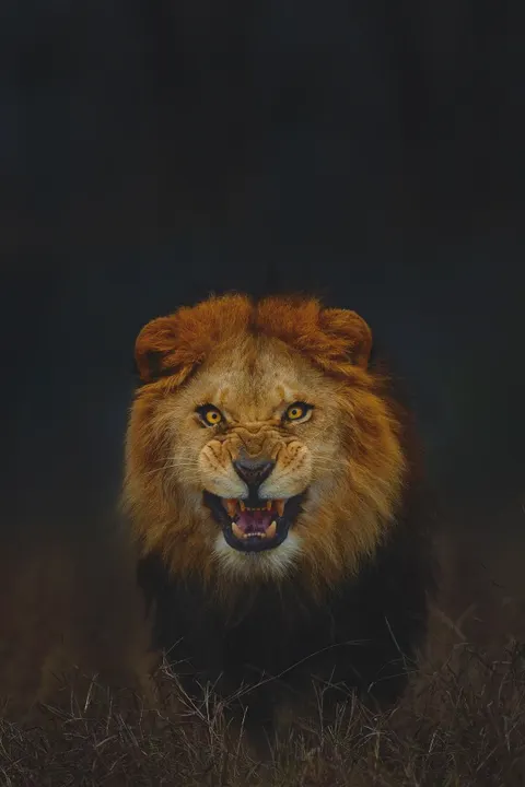 deresolute archive image 00171