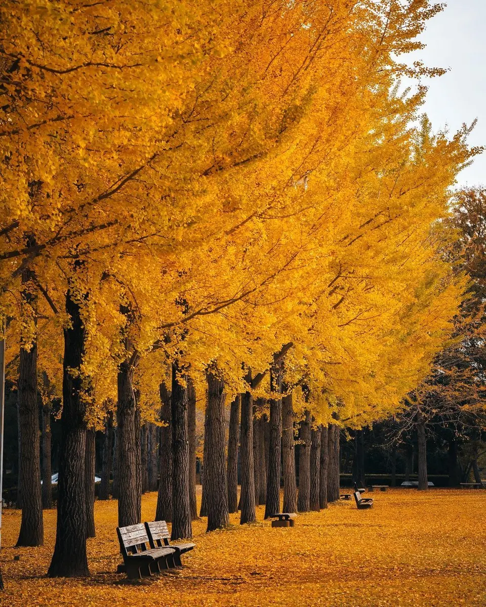 deresolute archive image 0c2adaa09b7a7db5a339c2df3e0fcf76fc45765b