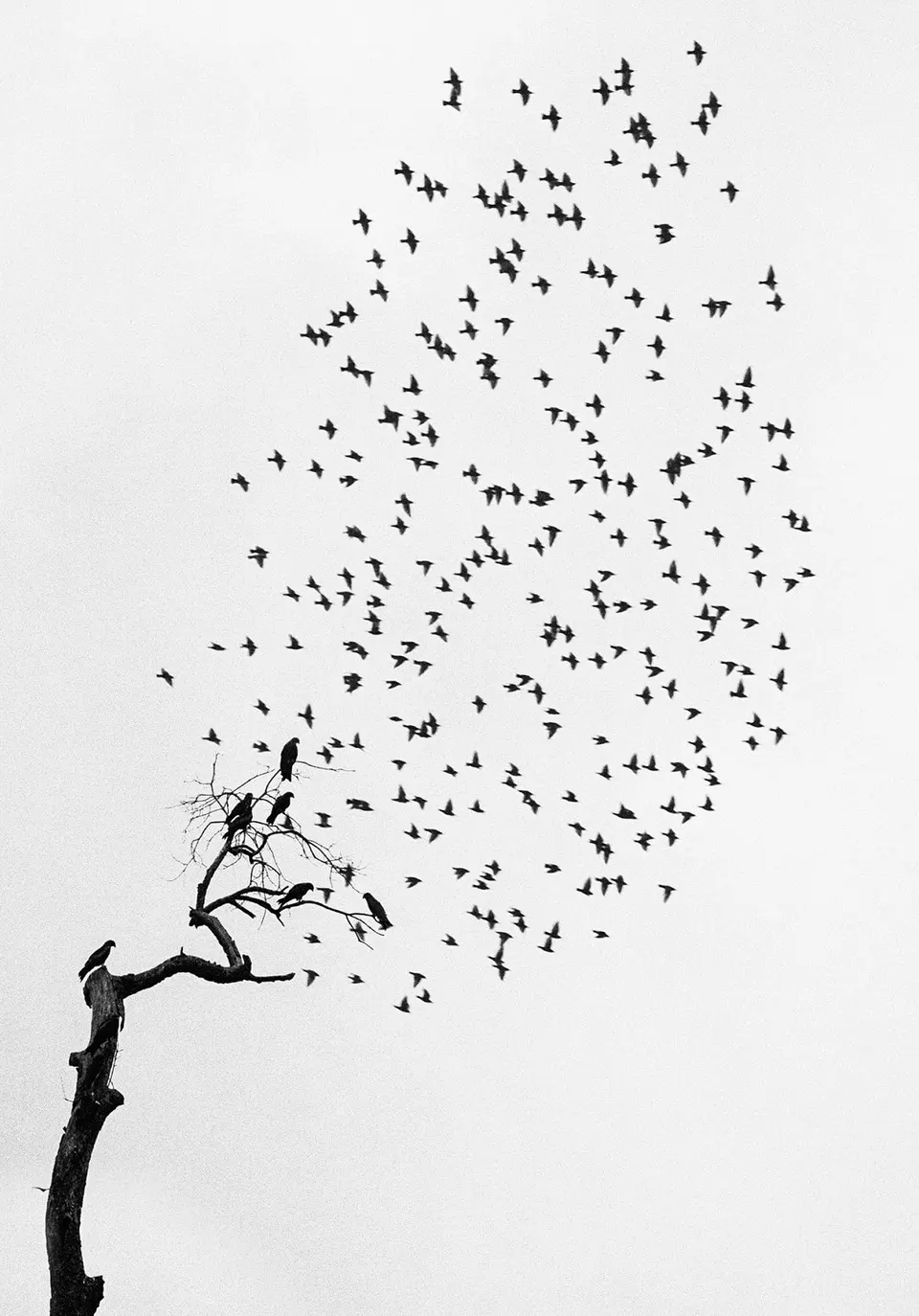 deresolute archive image 34697de9e49d483dc52be28dd2c814c6179b4731