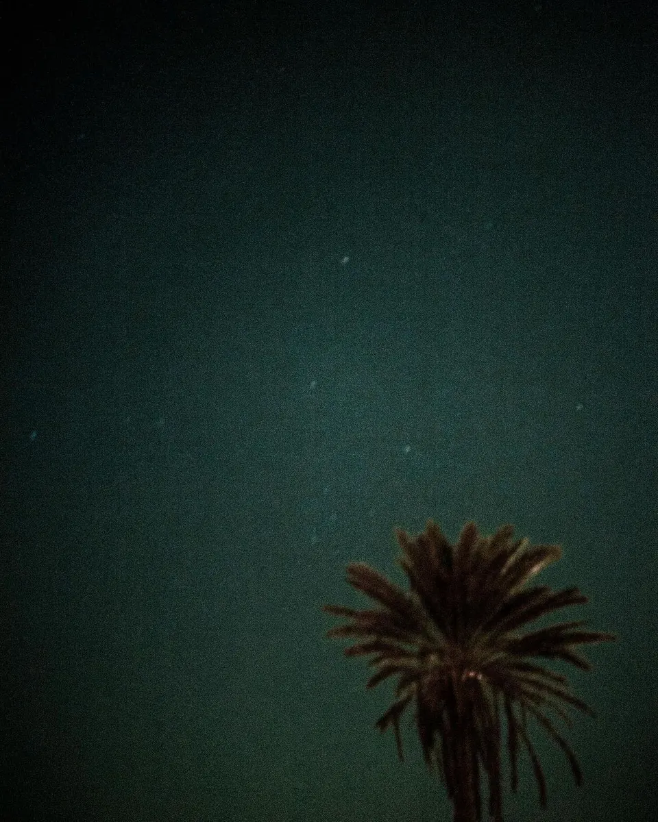 deresolute archive image 648708cbbc501891479093b1986f78f133ae1560