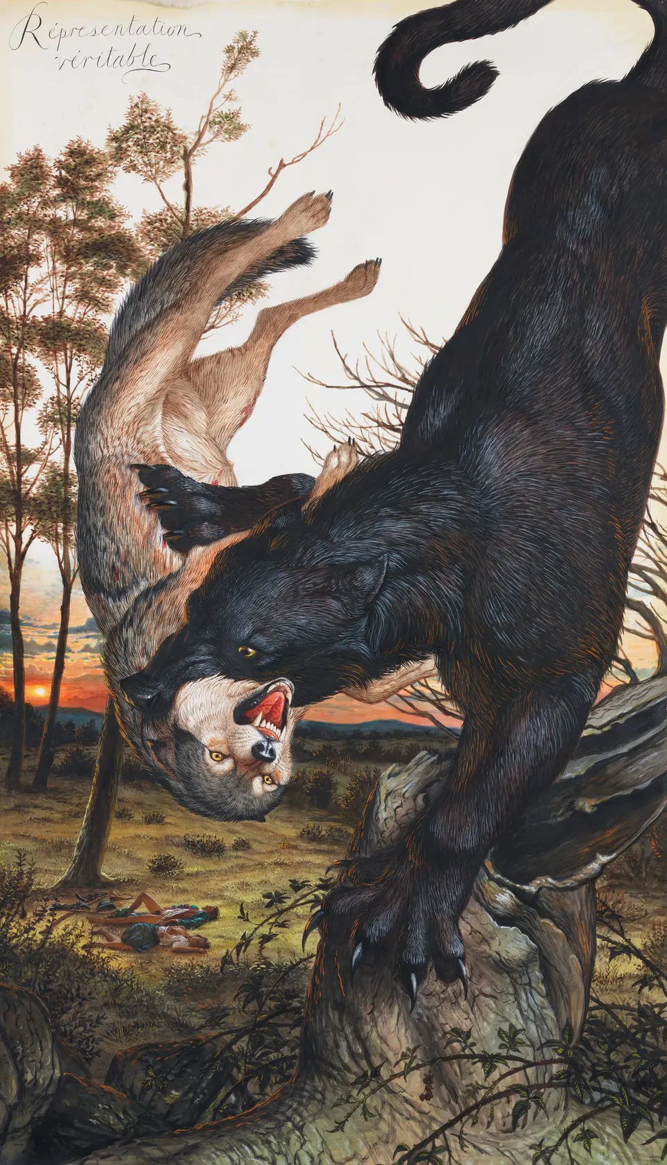 deresolute archive image 69937876c88e853ea729b6ff18afaff9af2bfd86