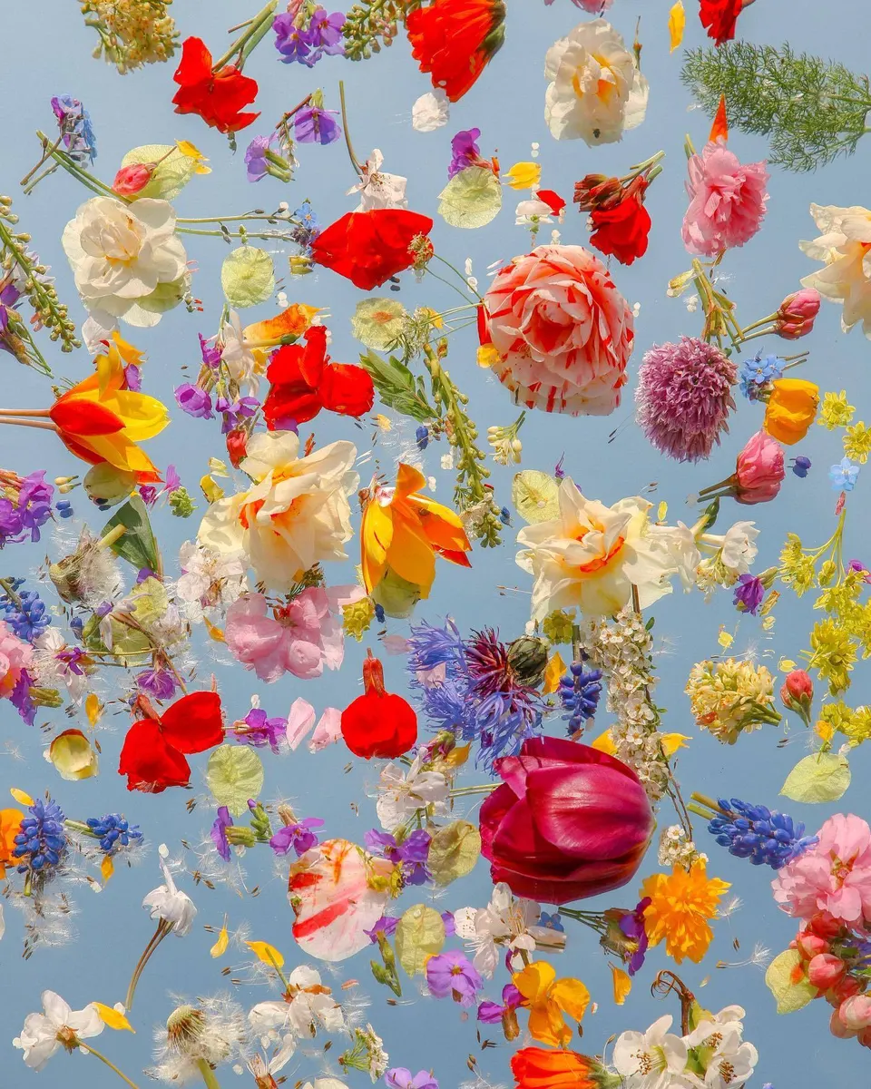 deresolute archive image f50287a7a15db7f0f0c4e91e41f621ba1a6c46ec