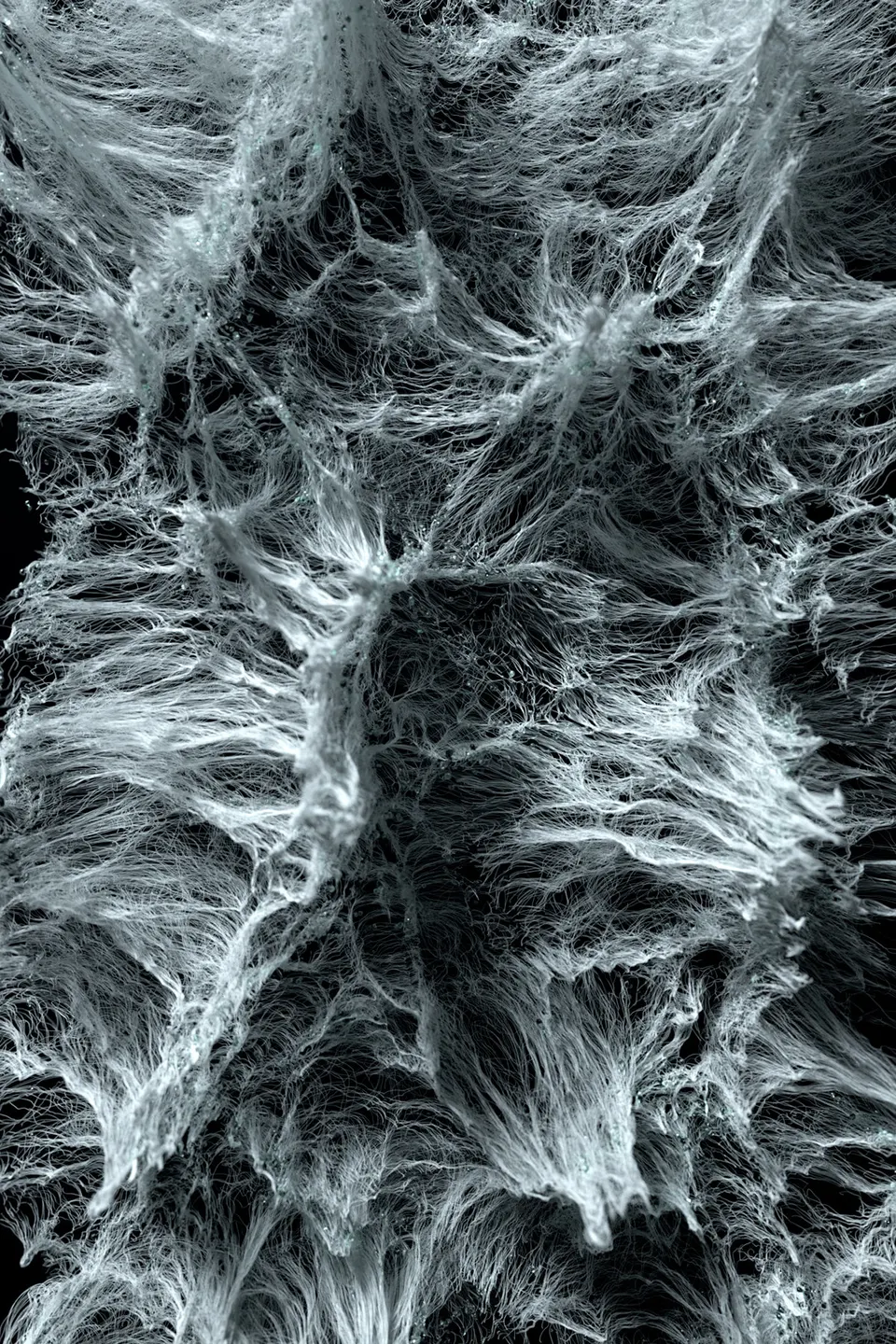 deresolute archive image fcbd4bb0c361e9bd702776c1a2b8a3483c8826b0