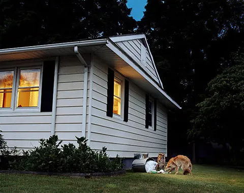 deresolute archive image lIeodZtm8jhx3u0x26S74FMPo1_500