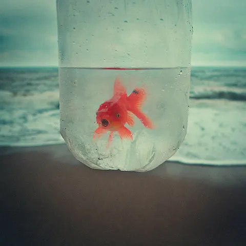 deresolute archive image lIeodZtm8jvotfdm697x6400o1_500