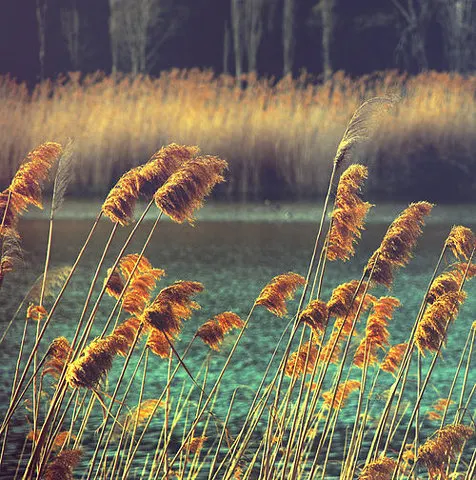 deresolute archive image tumblr_mn161zRr9S1qzvj6ko1_500