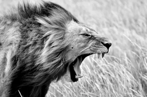 deresolute archive image tumblr_ne20ziMiu11qzvj6ko1_500